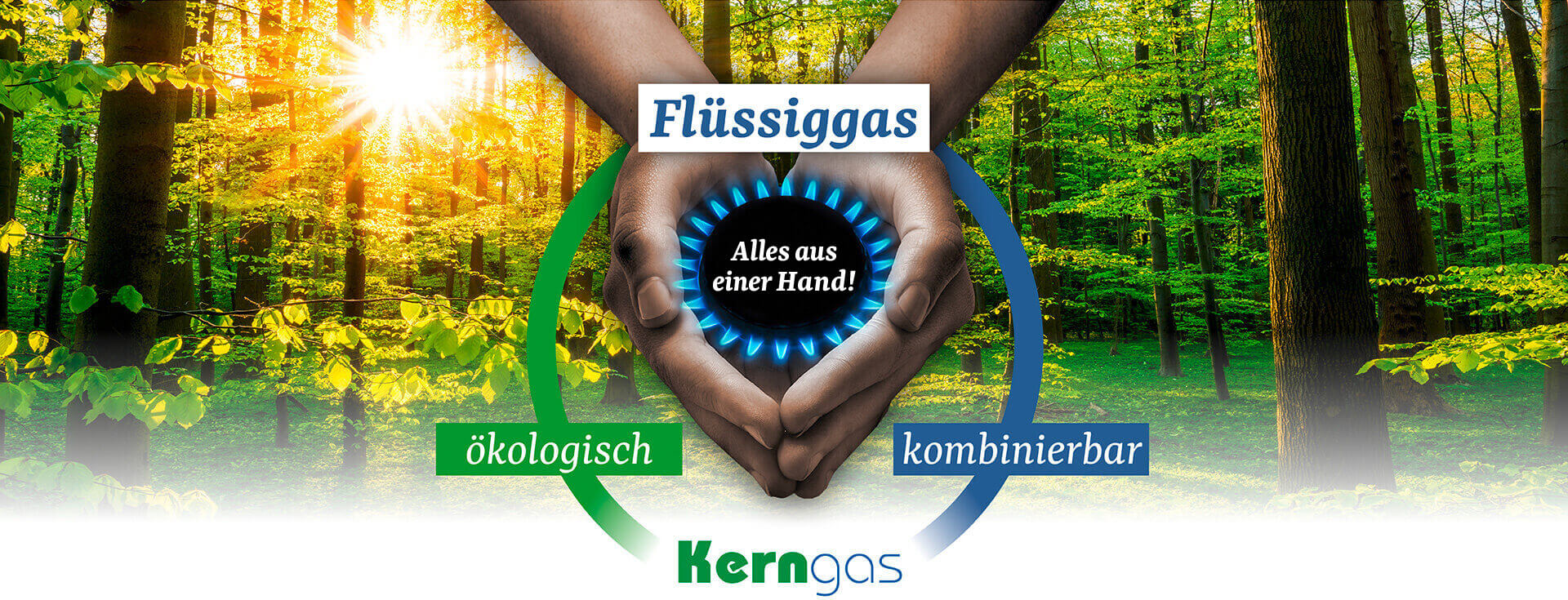 kerngas_header_V2209-besser